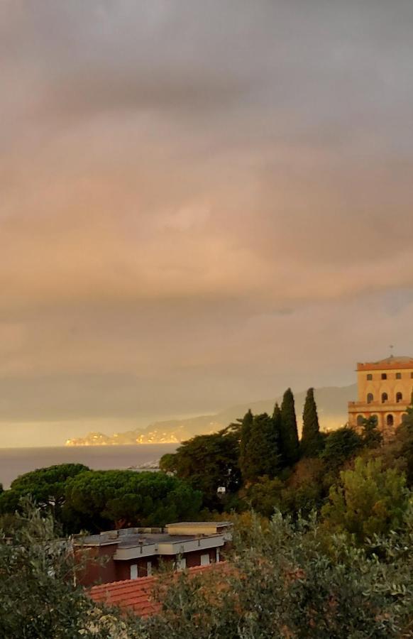 Il Leudo