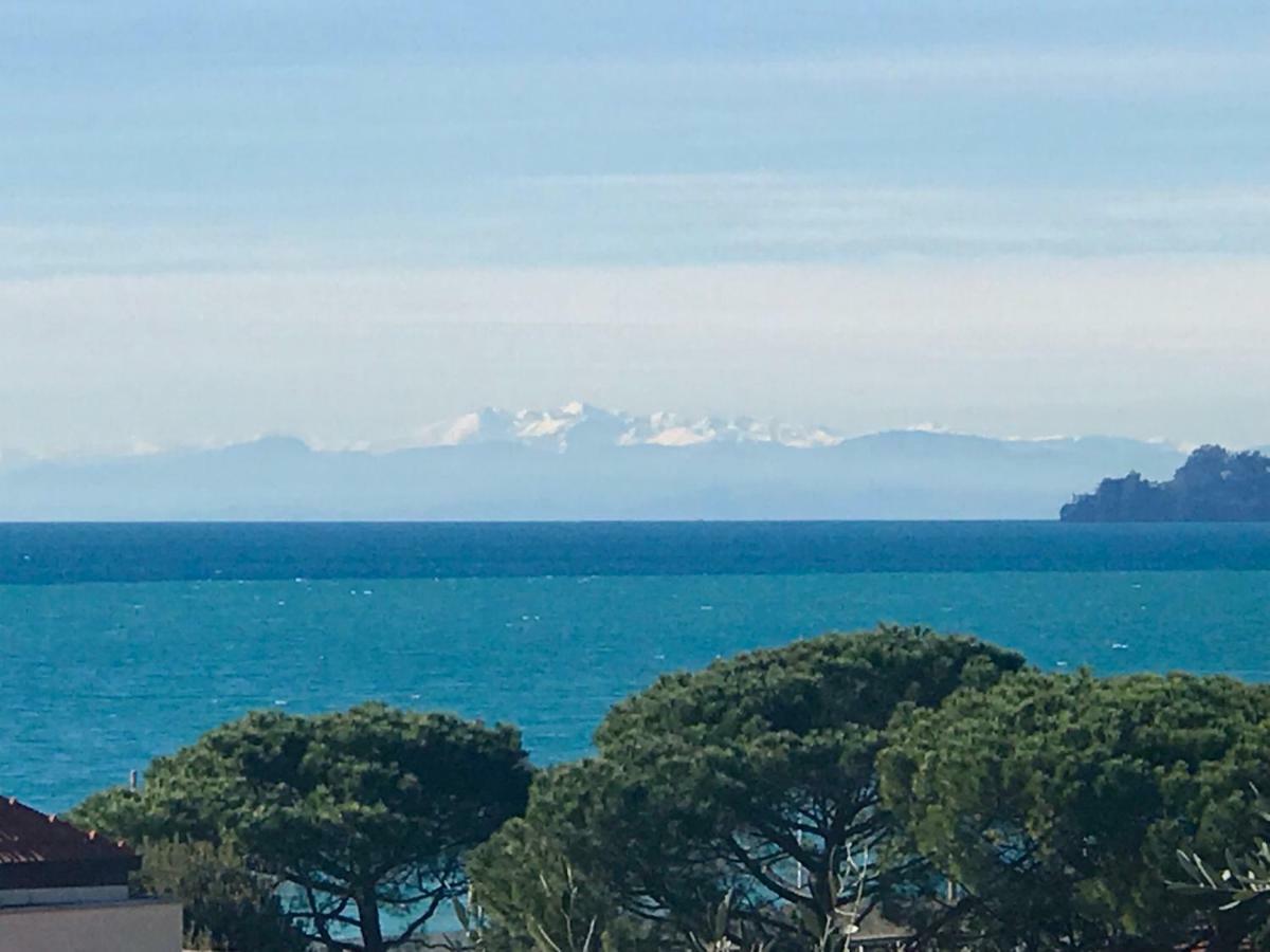 Il Leudo Lavagna